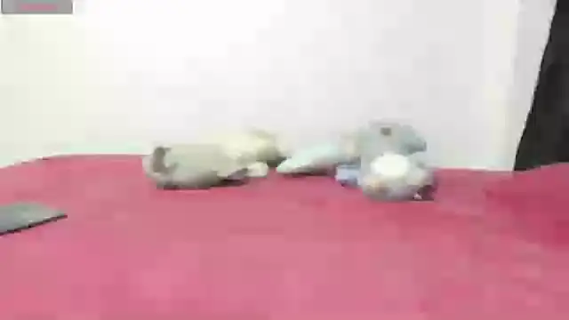 Snapshot of Mayte_sexy chatting on February 21, 12:16 am Mayte sexy online show from February 21, 12:16 am