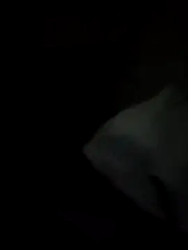 Snapshot of tessafontana37 chatting on January 3, 2:32 am tessafontana37 online show from January 3, 2:32 am