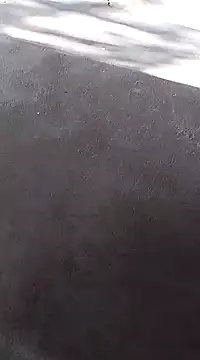 Snapshot of Sexygarl1024 chatting on January 5, 2:38 am Sexygarl1024 online show from January 5, 2:38 am