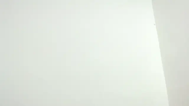 isaaclatino online show from November 27, 4:03 am