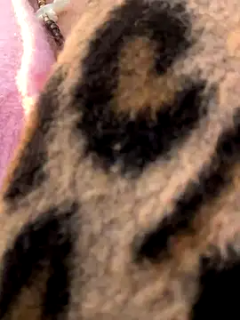 casalinga88 online show from November 7, 7:19 am