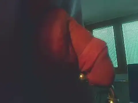 Snapshot of TheHardone_29 chatting on December 16, 7:48 am TheHardone 29 online show from December 16, 7:48 am