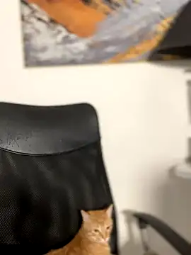Snapshot of ValerieHilton chatting on December 2, 12:41 am ValerieHilton online show from December 2, 12:41 am