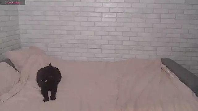 Snapshot of Fuckyoursecretary69 chatting on December 9, 12:19 pm Fuckyoursecretary69 online show from December 9, 12:19 pm