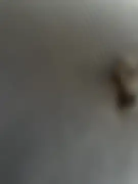 eveangelll online show from March 22, 8:08 am