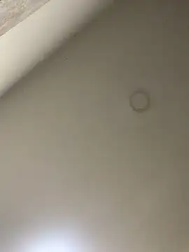 Snapshot of Zarah_Blare chatting on January 14, 11:27 pm Zarah Blare online show from January 14, 11:27 pm