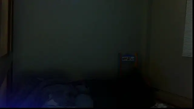 Snapshot of SexWorkerX chatting on October 15, 3:28 am SexWorkerX online show from October 15, 3:28 am