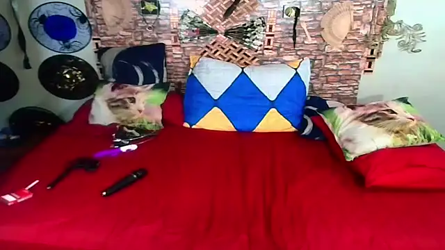 Indian Blaze00 online show from October 4, 10:46 am