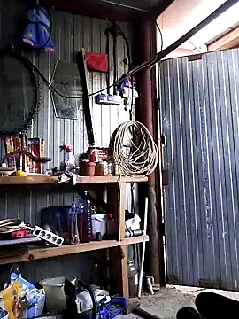 Snapshot of Sarpe84 chatting on December 22, 2:16 pm Sarpe84 online show from December 22, 2:16 pm