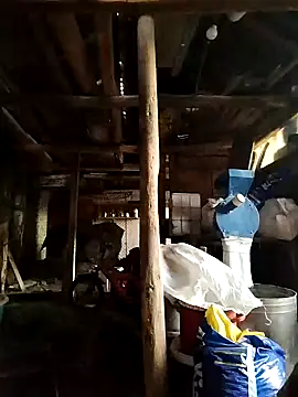 Snapshot of Sarpe84 chatting on January 19, 5:48 am Sarpe84 online show from January 19, 5:48 am