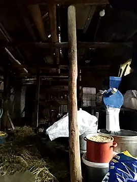 Snapshot of Sarpe84 chatting on January 24, 6:03 am Sarpe84 online show from January 24, 6:03 am