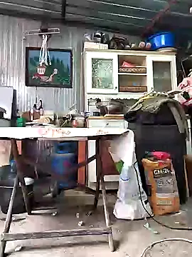 Snapshot of Sarpe84 chatting on January 24, 9:17 am Sarpe84 online show from January 24, 9:17 am