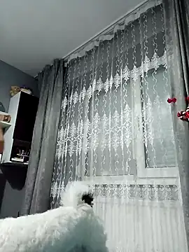 Snapshot of MikySWeet7 chatting on December 27, 7:24 pm MikySWeet7 online show from December 27, 7:24 pm