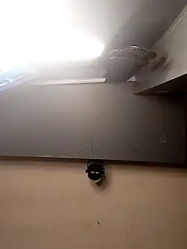 AmazonianMistress online show from December 1, 2:44 pm