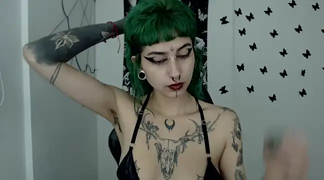 n0sferatus   online show from January 7, 8:13 am