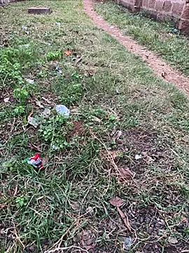 Black-mamba-madingo online show from October 29, 5:14 pm