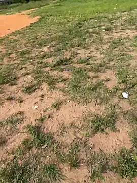 Snapshot of Black-mamba-madingo chatting on February 14, 8:55 am Black-mamba-madingo online show from February 14, 8:55 am