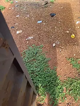 Snapshot of Black-mamba-madingo chatting on April 4, 8:23 am Black-mamba-madingo online show from April 4, 8:23 am