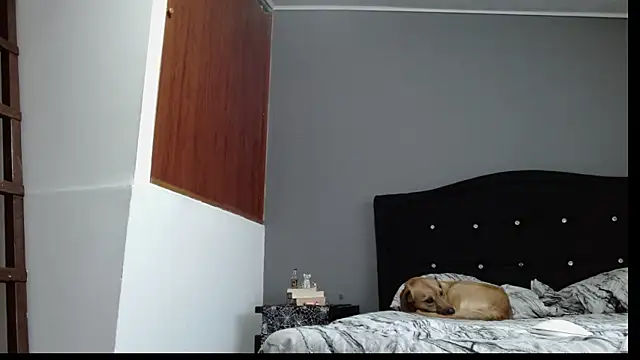 Emilia 1995 online show from January 30, 10:41 pm