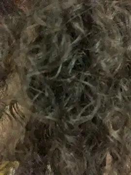 Snapshot of Antoniart_ chatting on February 9, 6:54 am Antoniart online show from February 9, 6:54 am