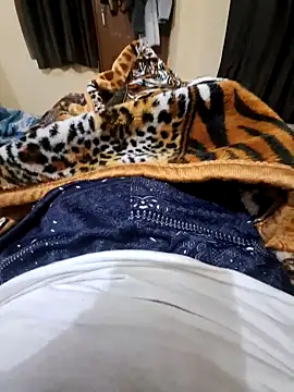 villagb12 online show from December 25, 7:24 pm