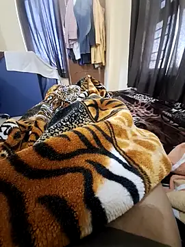 villagb12 online show from February 14, 4:15 am