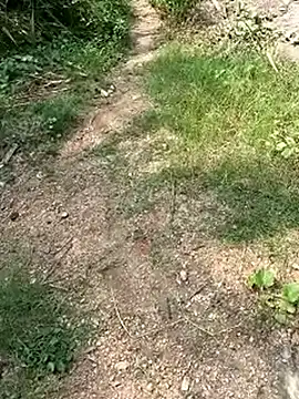 Snapshot of TamizhanKishwin7 chatting on November 9, 8:01 am TamizhanKishwin7 online show from November 9, 8:01 am