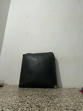 Snapshot of Ceninth chatting on October 15, 9:26 pm Ceninth online show from October 15, 9:26 pm