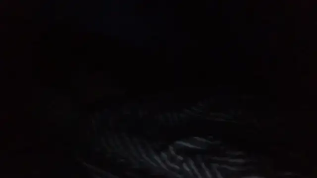 SHARPSkinhead online show from August 2, 2:10 am