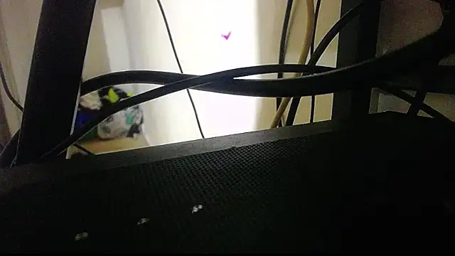 harry lia  online show from November 5, 7:25 pm