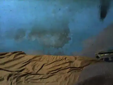 Snapshot of little__joy chatting on March 1, 2:37 am little joy online show from March 1, 2:37 am