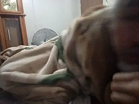 Xoc8  online show from February 14, 9:28 am