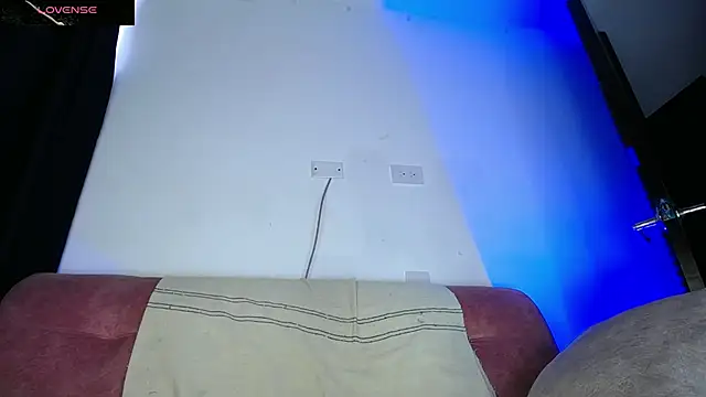 Snapshot of Palo_santo chatting on July 28, 4:16 pm Palo santo online show from July 28, 4:16 pm