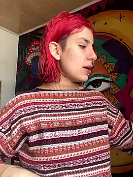  Artemisa X online show from January 24, 6:04 pm