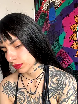  Artemisa X online show from November 27, 4:31 pm