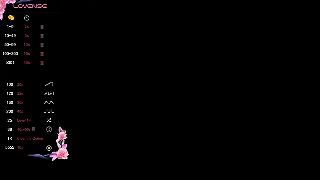 liz 25b online show from August 5, 4:04 am