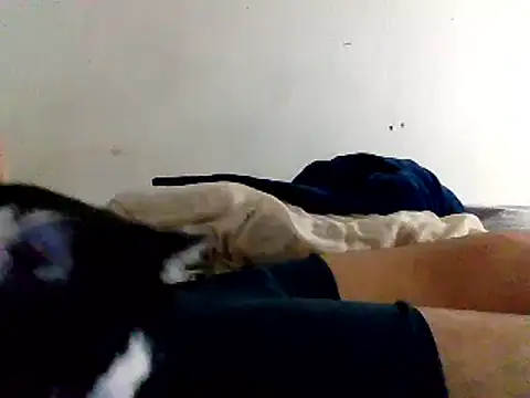 yass56789 online show from November 15, 11:54 pm