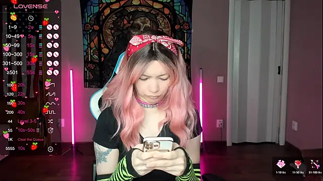 Project hisoka online show from January 15, 4:06 am