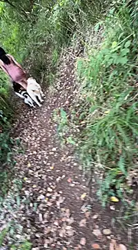 Reinacatchile online show from February 4, 10:55 pm