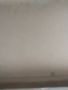 tatoocba88 online show from November 28, 6:43 pm