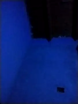 pmalvado912 online show from March 28, 5:07 am