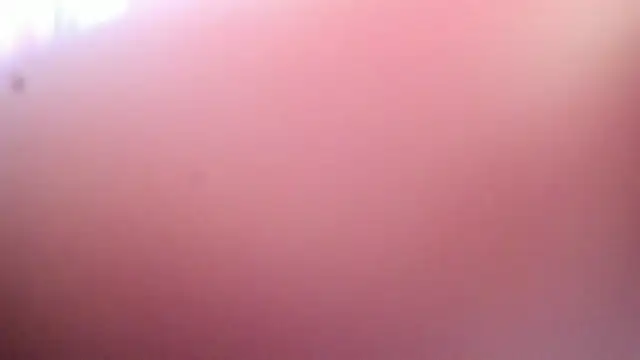 Dana Jeins online show from July 29, 7:23 pm