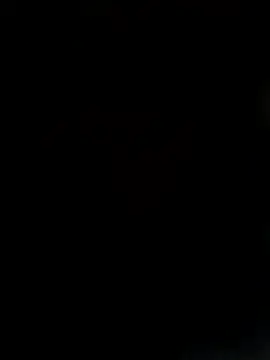 News3xxh online show from December 17, 5:13 am