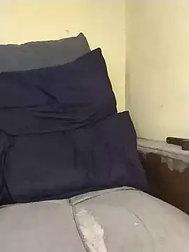 Stallion100 online show from January 29, 9:23 am