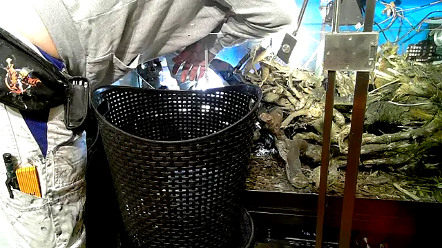 0815lukas2024 online show from October 7, 9:23 pm