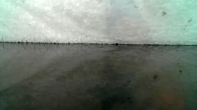 0815lukas2024 online show from October 22, 9:03 pm