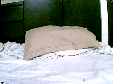 pollarikaaa online show from December 18, 9:51 pm