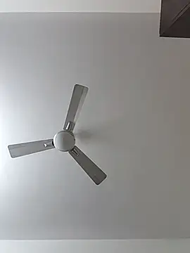 Snapshot of Manboobs178 chatting on February 11, 12:10 pm Manboobs178 online show from February 11, 12:10 pm