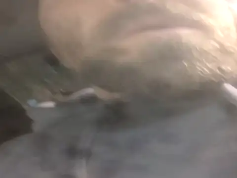 jwiththethickone413 online show from November 17, 5:52 pm