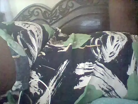 missarpie online show from February 11, 5:23 am